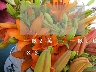 一畝2萬、一畝10萬，征地補償為啥差這么多？